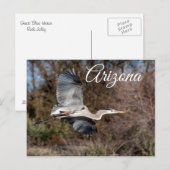 Great Blue Heron In Flight Arizona Postcard Postkarte (Vorne/Hinten)