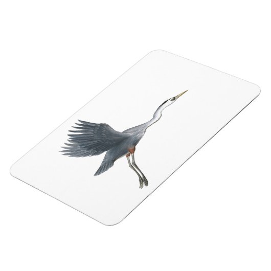 Great Blue Heron in Flight Flexi Magnet (Linke Seite)