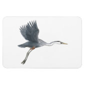 Great Blue Heron in Flight Flexi Magnet (Horizontal)