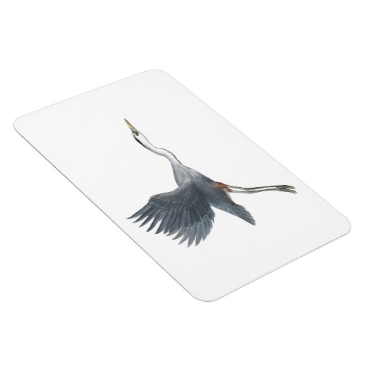 Great Blue Heron in Flight Flexi Magnet (Rechte Seite)