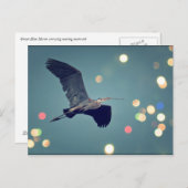 Great Blue Heron in Flight Postcard Postkarte (Vorne/Hinten)