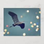 Great Blue Heron in Flight Postcard Postkarte (Vorderseite)