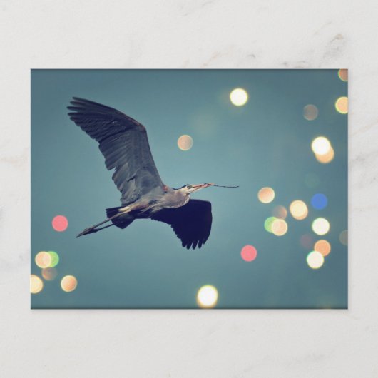 Great Blue Heron in Flight Postcard Postkarte (Vorderseite)