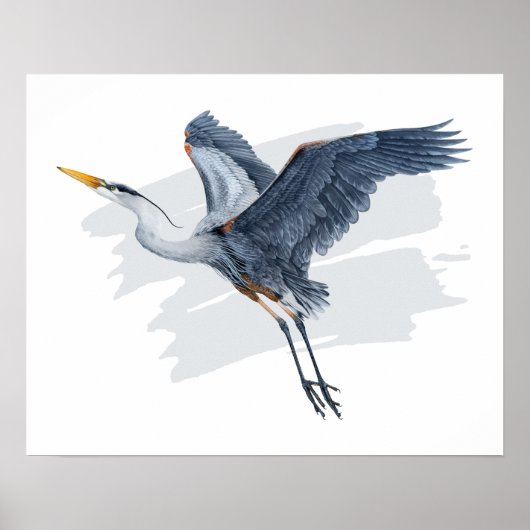Great Blue Heron in Flight Poster (Vorne)