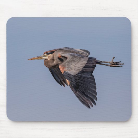 Great Blue Heron in Flug Mousepad (Vorne)