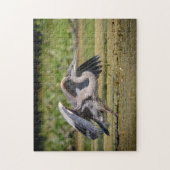 Great Blue Heron in Flug Puzzle (Vertikal)