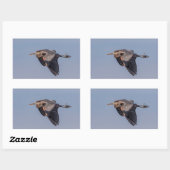 Great Blue Heron in Flug Rechteckiger Aufkleber (Blatt)