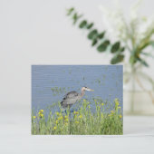 Great Blue Heron in River. Postkarte (Stehend Vorderseite)