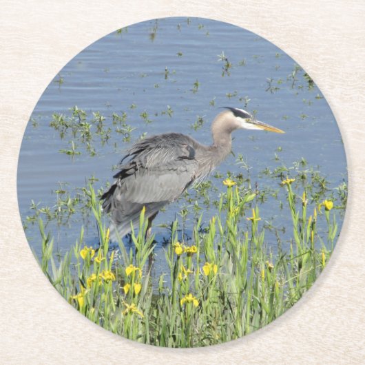 Great Blue Heron in River. Runder Pappuntersetzer (Vorderseite)