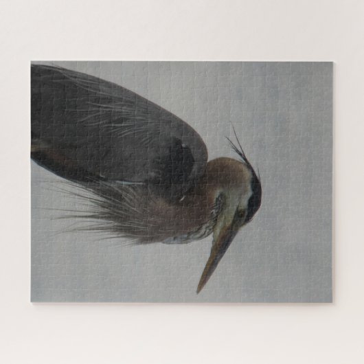 Great Blue Heron Jigsaw Puzzle (Horizontal)