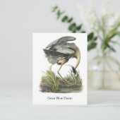 Great Blue Heron, John Audubon Postkarte (Stehend Vorderseite)