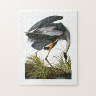 Great Blue Heron, John James Audubon Puzzle