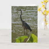 Great Blue Heron Karte (Gelbe Blume)