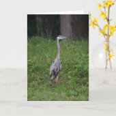 Great Blue Heron Karte (Gelbe Blume)