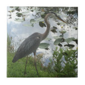Great Blue Heron Keramik Tile Fliese (Vorderseite)