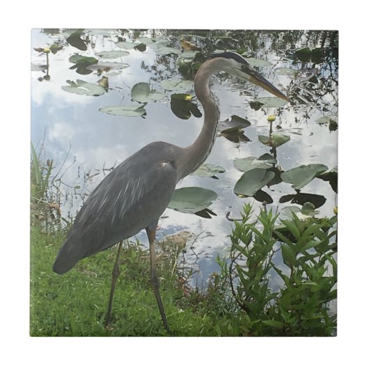 Great Blue Heron Keramik Tile Fliese (Vorderseite)