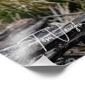 Great Blue Heron Landing - Foto (Ecke)