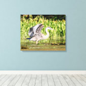 Great Blue Heron Leinwanddruck (Insitu (Holzboden))
