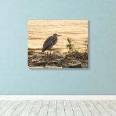 Great Blue Heron Leinwanddruck (Insitu (Holzboden))