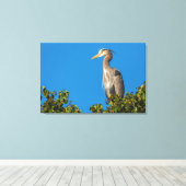 Great Blue Heron Leinwanddruck (Insitu (Holzboden))