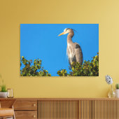 Great Blue Heron Leinwanddruck (Insitu (Wohnzimmer))