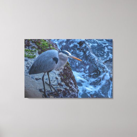 Great Blue Heron Leinwanddruck (Vorderseite)