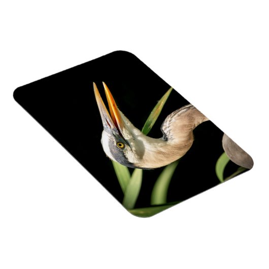Great Blue Heron Magnet (Rechte Seite)