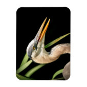 Great Blue Heron Magnet (Vertikal)