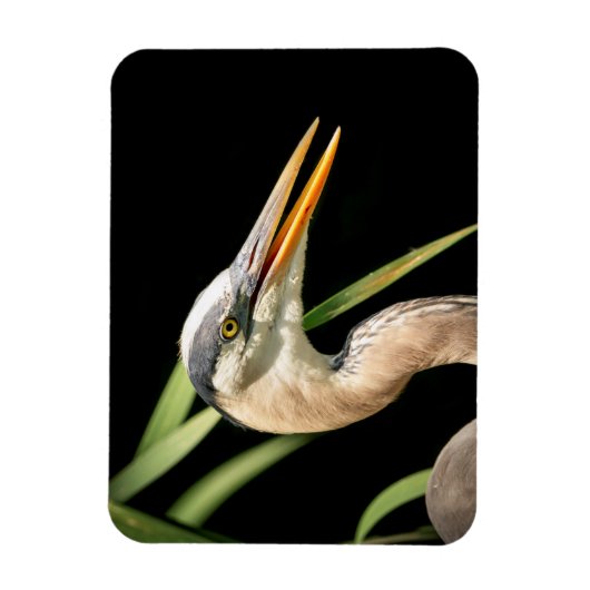 Great Blue Heron Magnet (Vertikal)