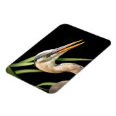 Great Blue Heron Magnet (Linke Seite)