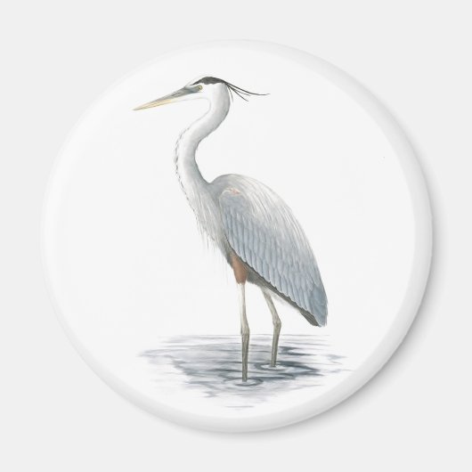 Great Blue Heron Magnet (Vorne)