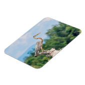 Great Blue Heron Magnet (Linke Seite)