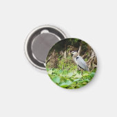 Great Blue Heron Magnet (Vorderseite/Rückseite)