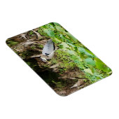 Great Blue Heron Magnet (Rechte Seite)