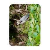 Great Blue Heron Magnet (Vertikal)