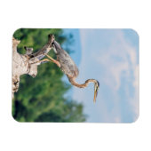 Great Blue Heron Magnet (Horizontal)