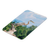 Great Blue Heron Magnet (Linke Seite)