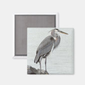 Great Blue Heron Magnet (Vorderseite/Rückseite)