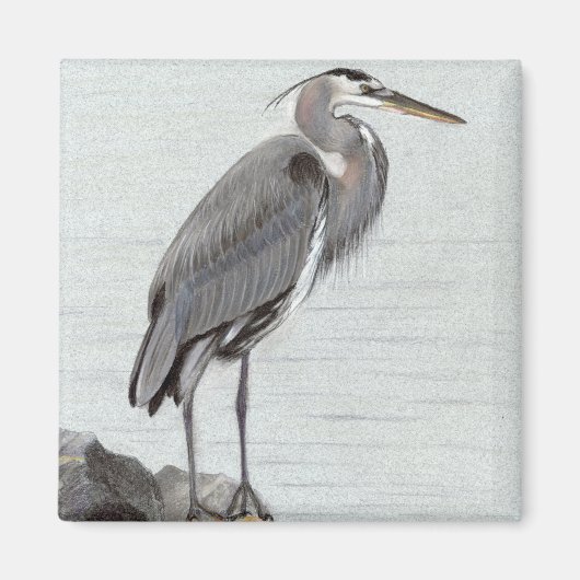 Great Blue Heron Magnet (Vorne)
