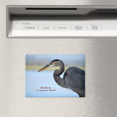 Great Blue Heron Magnet (In Situ (Geschirrspüler))
