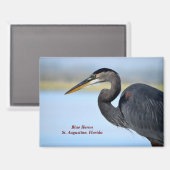 Great Blue Heron Magnet (Vorderseite/Rückseite)