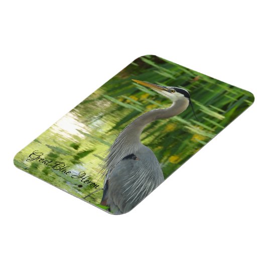 Great Blue Heron Magnet (Linke Seite)