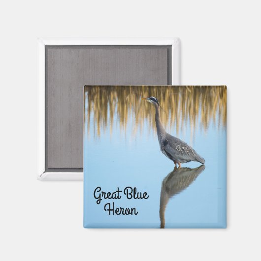 Great Blue Heron Magnet (Vorderseite/Rückseite)