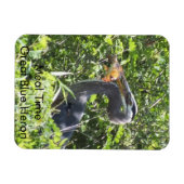 Great Blue Heron, Meal Time Magnet (Horizontal)