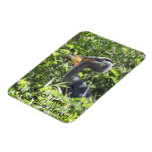 Great Blue Heron, Meal Time Magnet (Linke Seite)