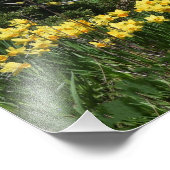 Great Blue Heron mit Daffodals Fotodruck (Ecke)