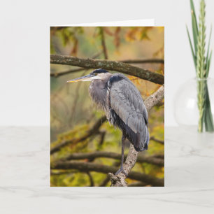 Great Blue Heron mit Herbstfarben Grußkarte Karte