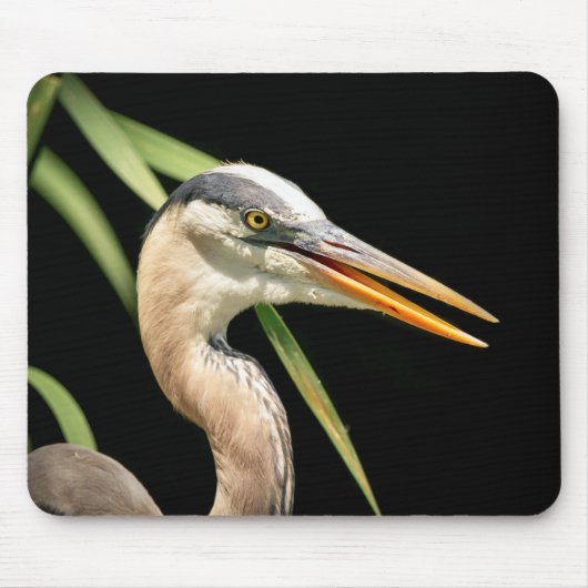 Great Blue Heron Mousepad (Vorne)
