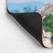Great Blue Heron Mousepad (Ecke)