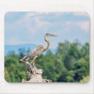 Great Blue Heron Mousepad